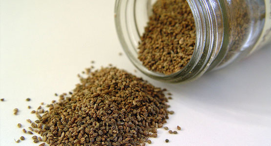 Eating Ajwain is the best thing